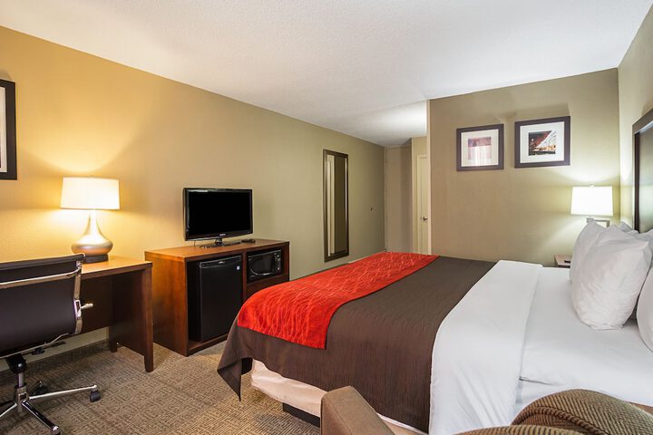 1 King Bed (9 of 11)