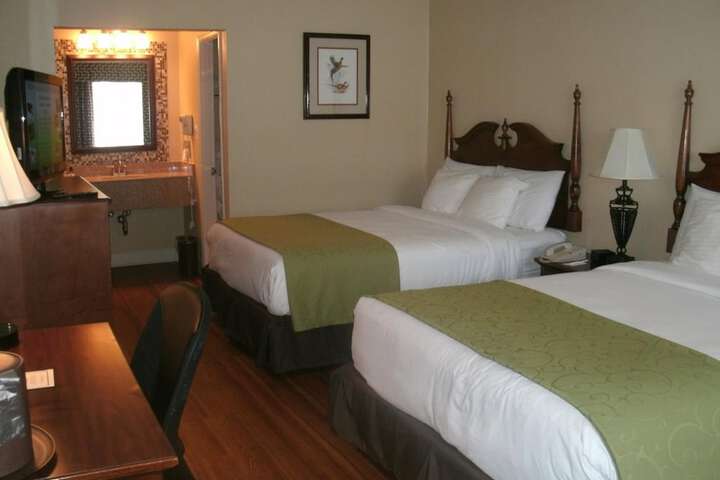 Executive 2 Queen Beds (3 of 8)