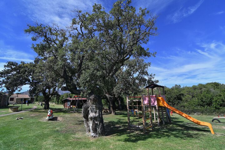 Childrens Activities 78 of 117