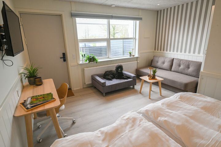 Room 12 of 42