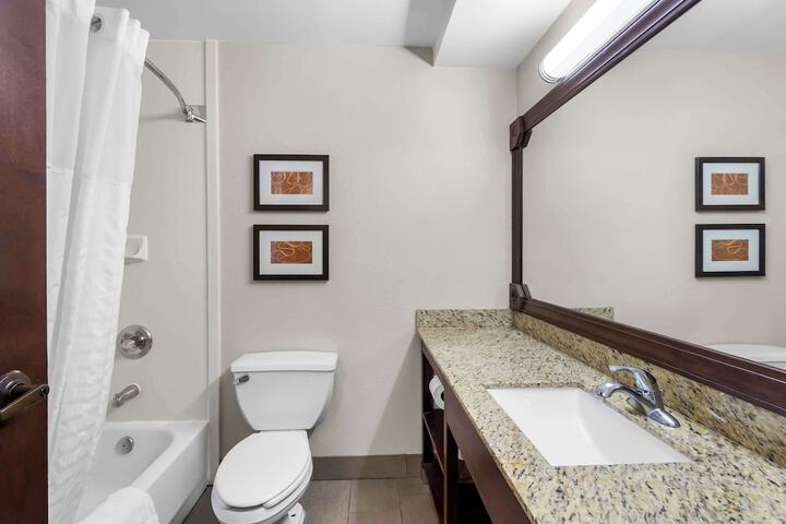 1 King Bed Suite (2 of 16)