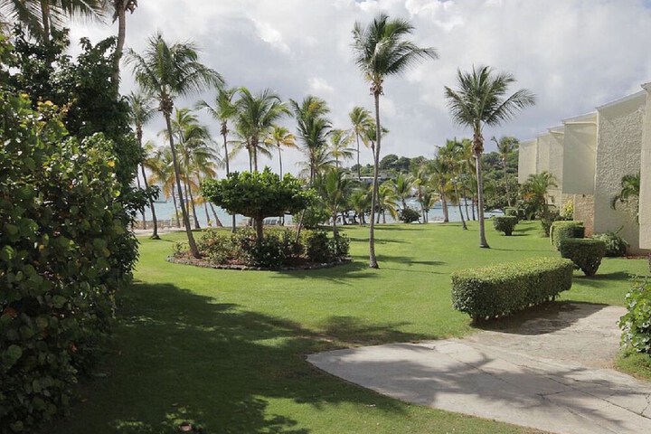 Property Grounds 22 of 30