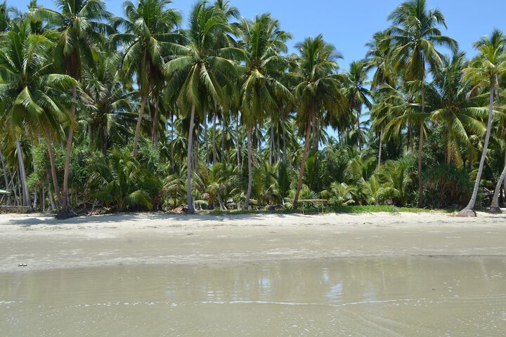 Beach 26 of 33