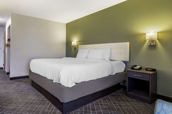 1 King Bed (5 of 11)
