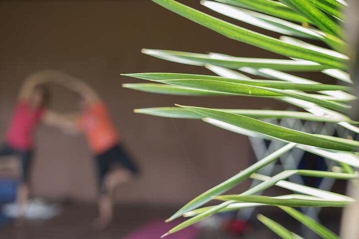 Hotel with Gym