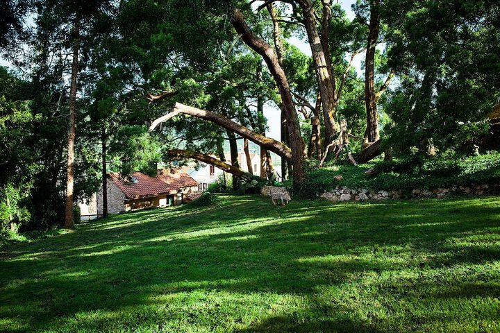 Property Grounds 28 of 36