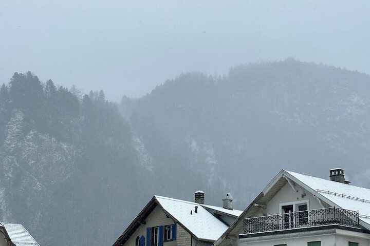 View from room