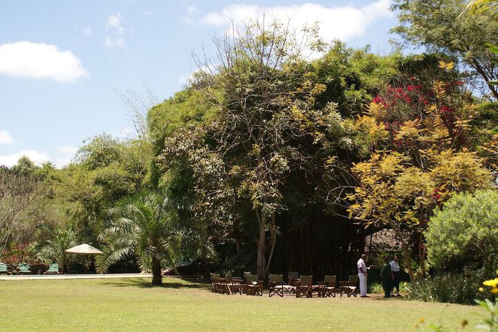 Property grounds