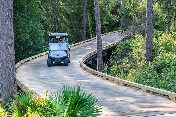 Golf cart