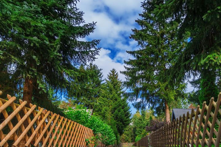 Property Grounds 16 of 30