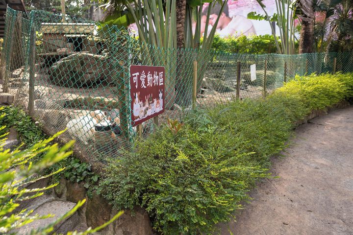 Terrace/Patio 218 of 263