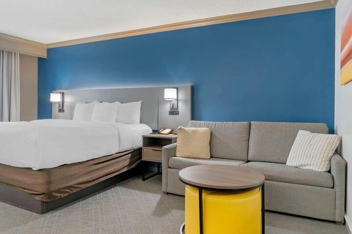 1 King Bed (9 of 10)