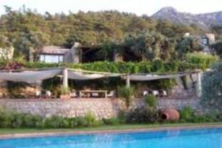 Antik Zeytin Hotel & Art