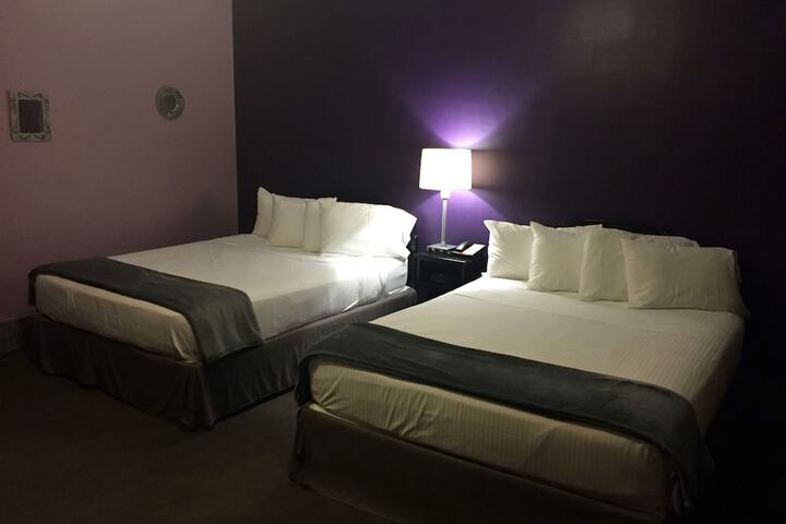 Interior Economy Queen Bed Pet Friendly (16 of 47)