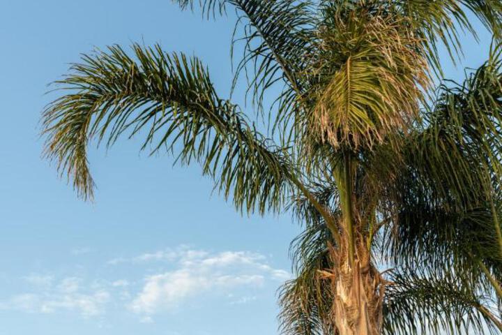 General 52 of 52