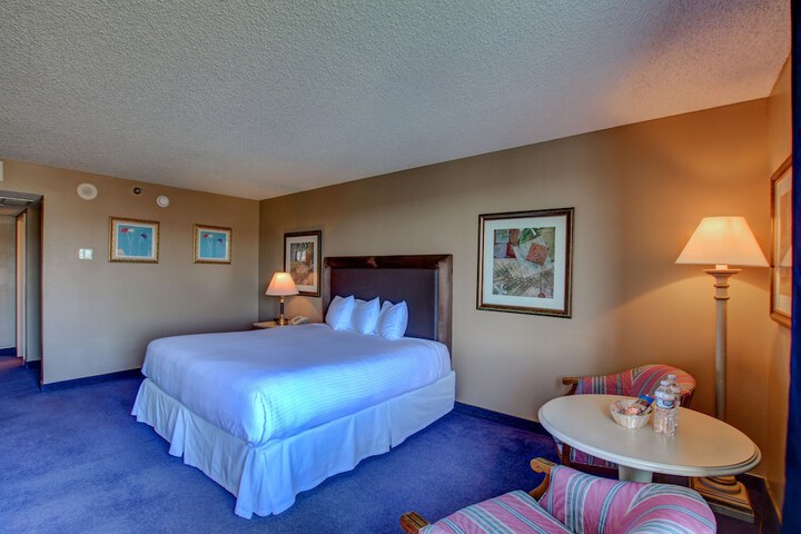 Standard | King Bed (1 of 15)