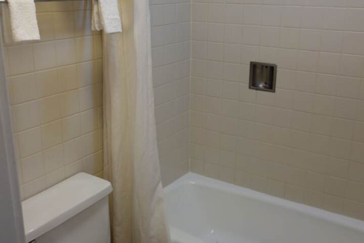 Basic Single Queenbed (3 of 5)