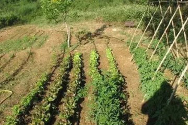 COUNTRY INN TUSCANYRURAL
