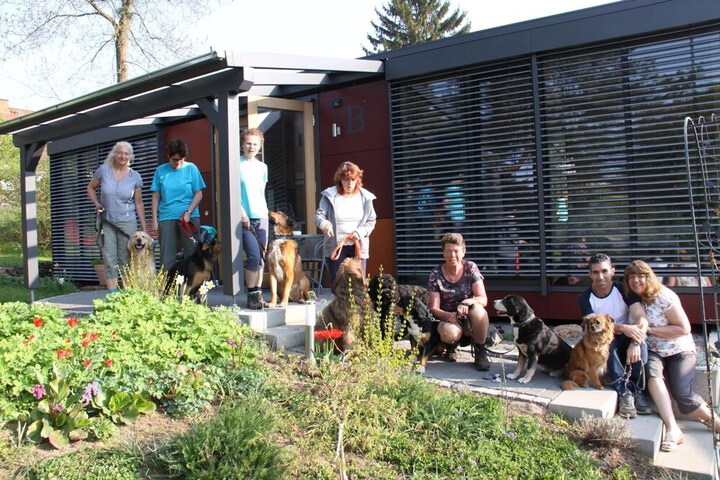 Pet Friendly 33 of 65