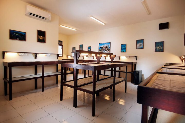 Room 7 of 16