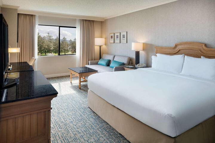 1 King Bed Mobility Accessible with Bathtub (10 of 32)