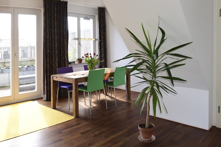 Room 14 of 37