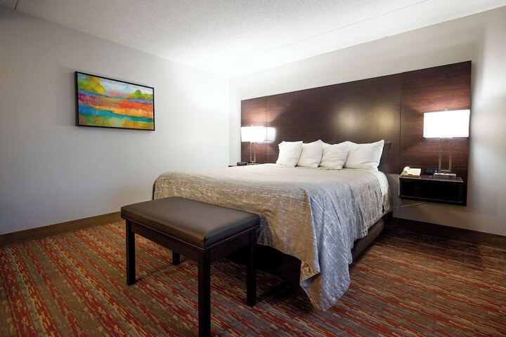 1 King Bed (8 of 11)