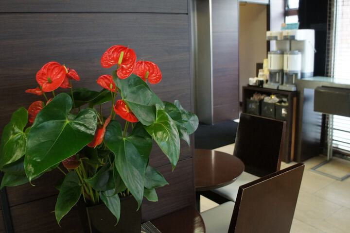 Hotel Interior 10 of 68