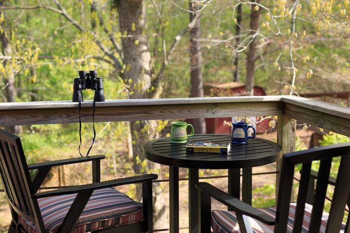 Terrace/Patio 8 of 28