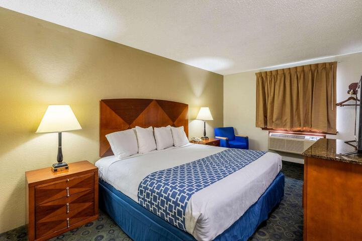 1 King Bed (9 of 11)