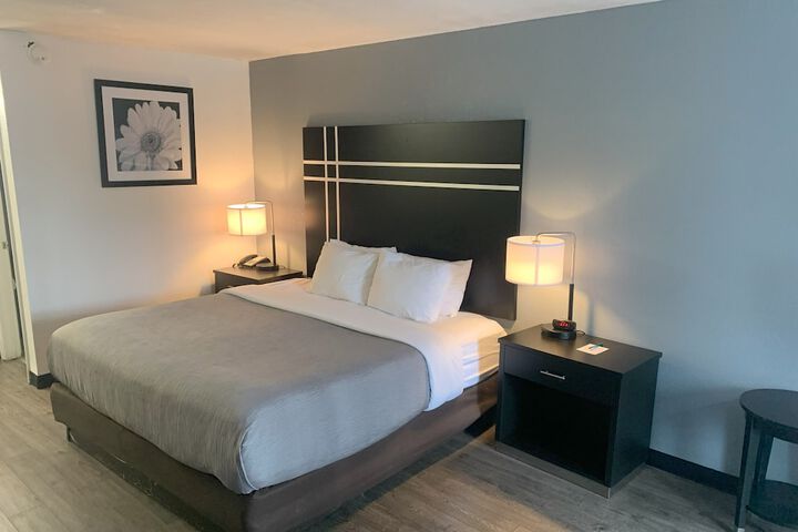 1 King Bed (8 of 9)
