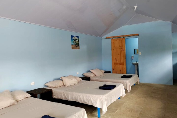 Room 7 of 51