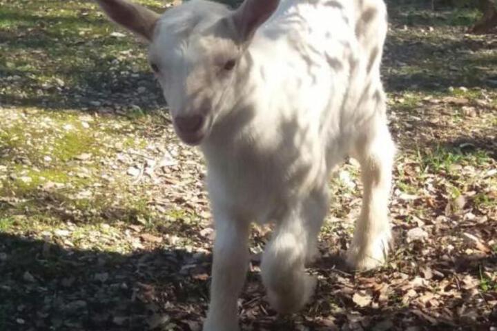 General 19 of 100