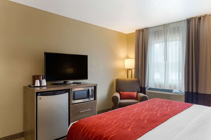 1 King Bed (3 of 16)