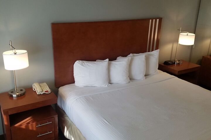 1 King Bed Flat Screen Television Microwave and Refrigerator High Speed Internet Accessible Continental Breakfast (14 of 20)