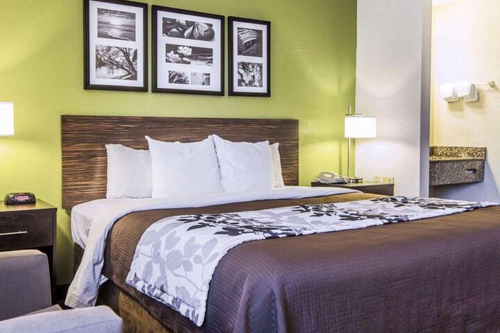 1 King Bed Pet Friendly (4 of 7)