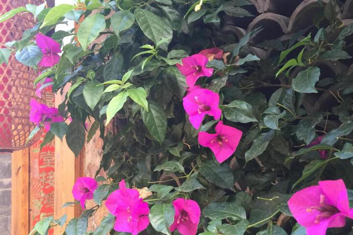 Spa and Wellness Pictures