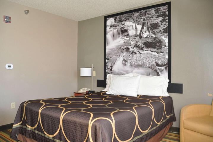 Queen Bed Pet Friendly (6 of 14)