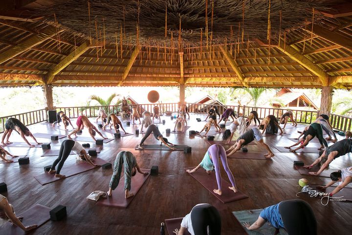 Health and Fitness 22 of 50