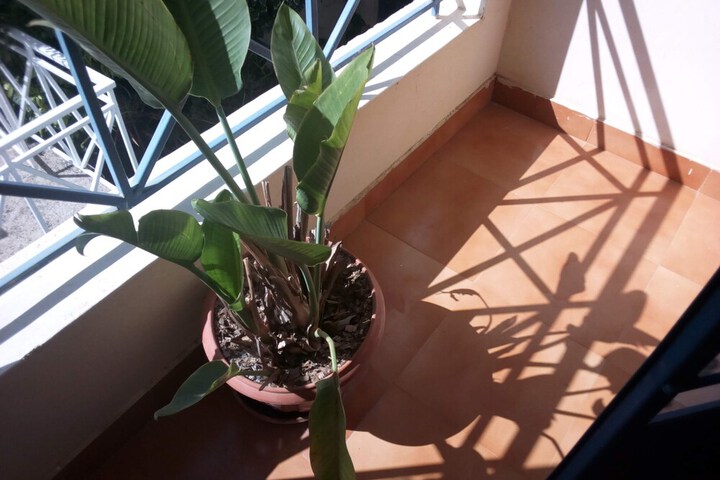 Terrace/Patio 8 of 26