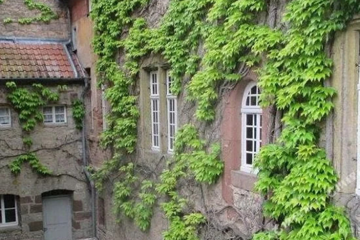 SCHLOSS SAALECK