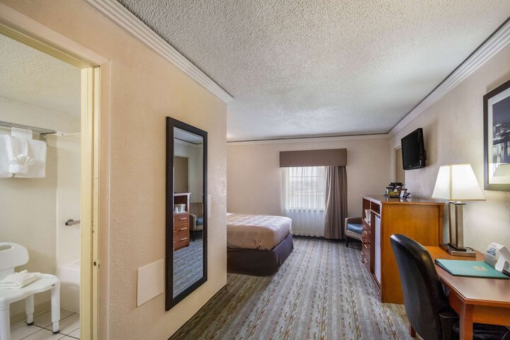 1 Queen Bed Business Room Accessible (8 of 18)