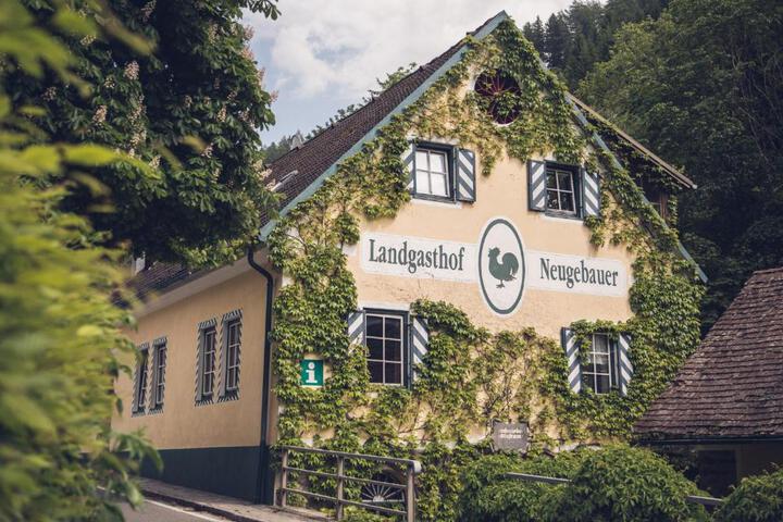 General 4 of 38