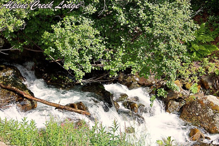 Land view from property