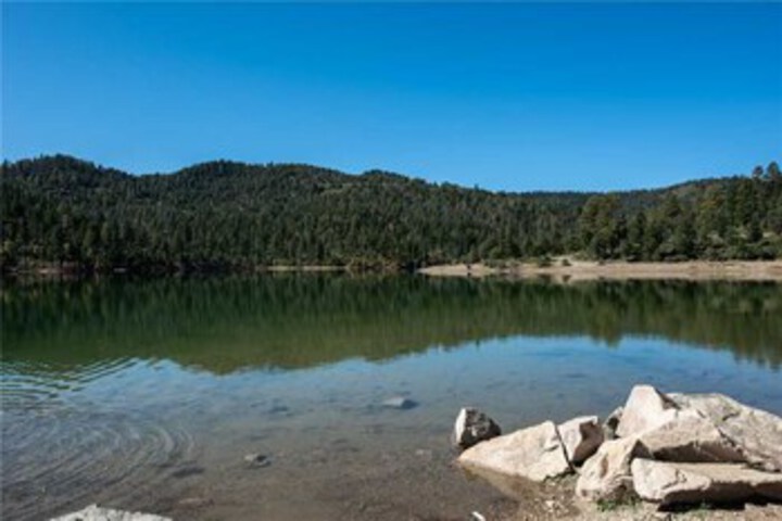 Property Grounds 16 of 30