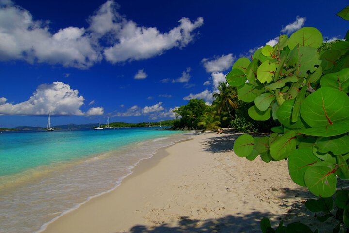 Beach 159 of 186