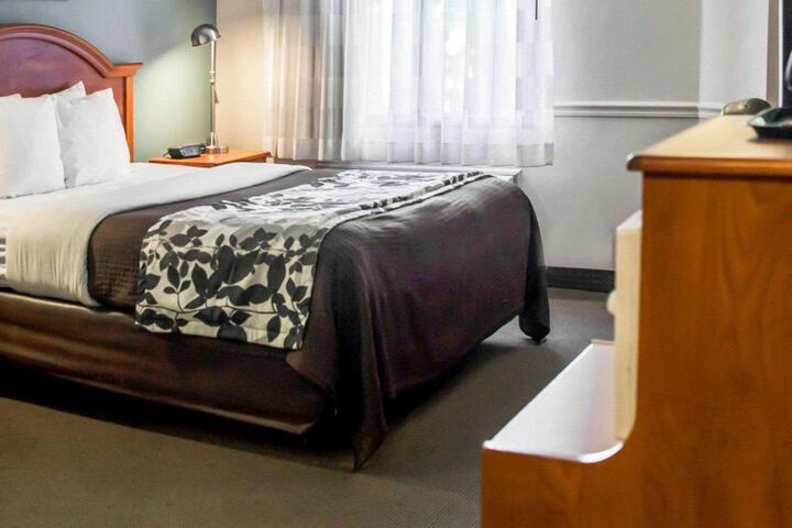 Queen Bed Accessible (3 of 15)