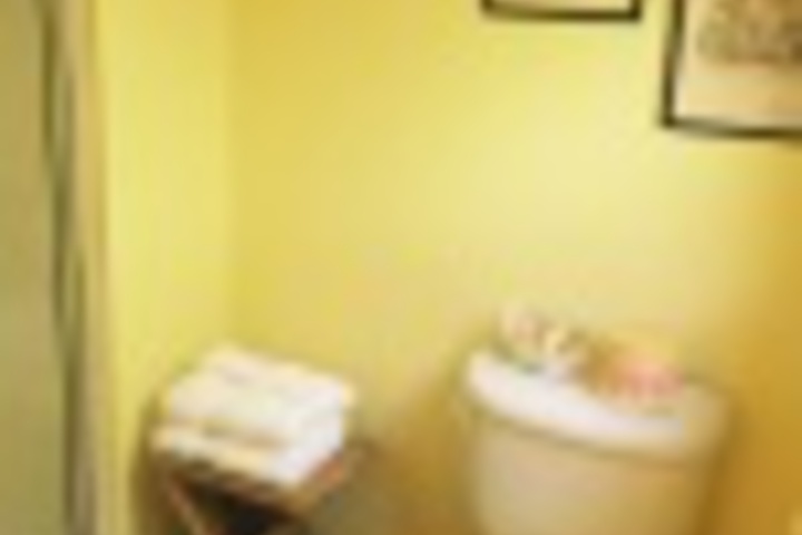 Hotel Interior 459 of 504