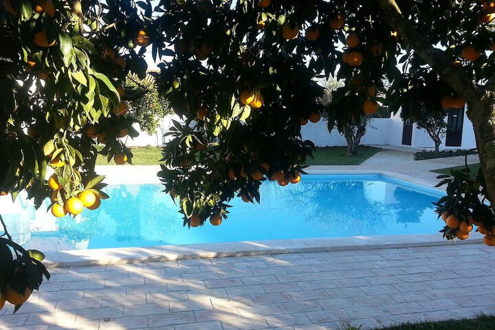 Pool 33 of 64