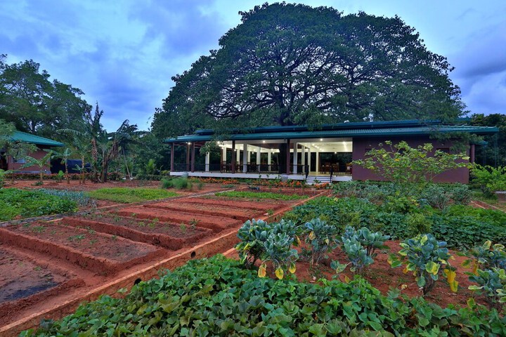 Hotel Exterior 44 of 49